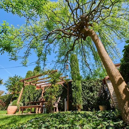 Avantgarden Умаг Екстериор снимка